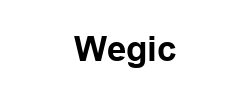 Wegic logo